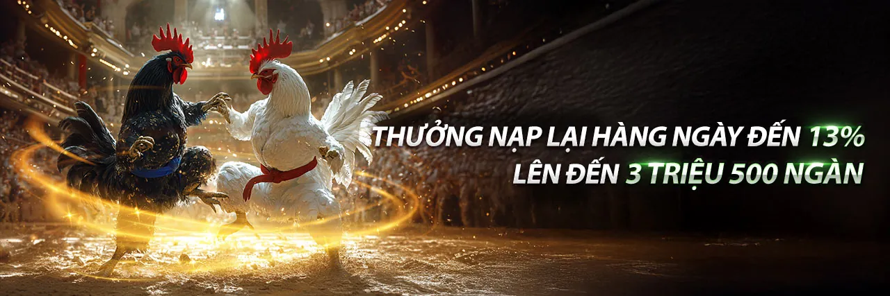 Hình ảnh chính Blog vz999 casino