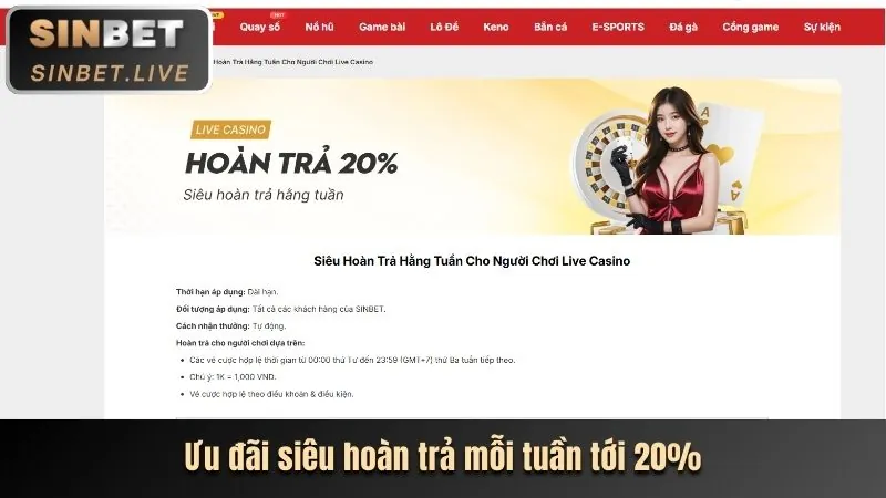 Cấp độ VIP Bạc vz999 casino